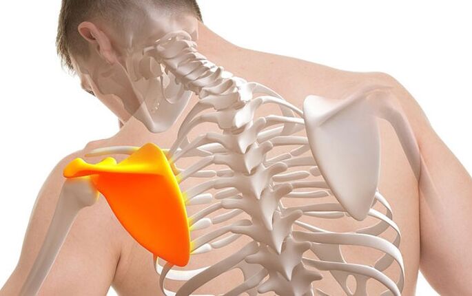 pain below the left shoulder blade during a period of nutritional crisis